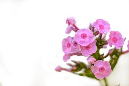 进利除害成语接龙游戏