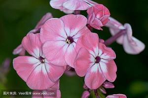 他们走后我的孤独如圆月般寂寞